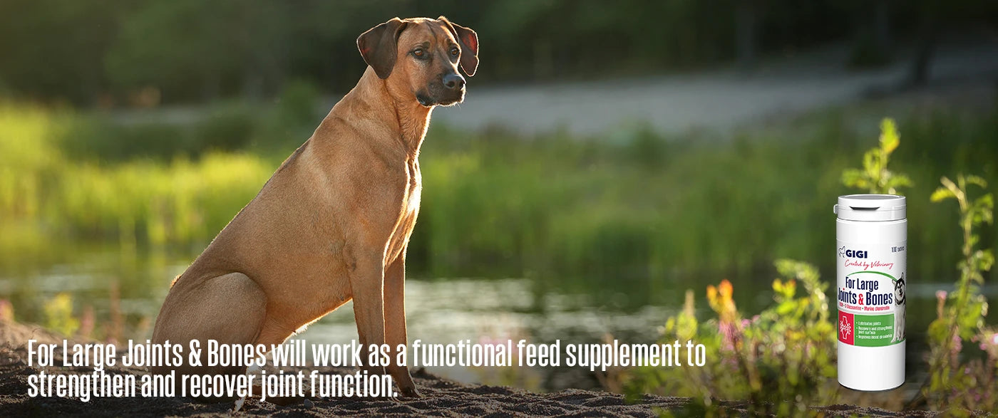 best natural large dog joint supplement in germany