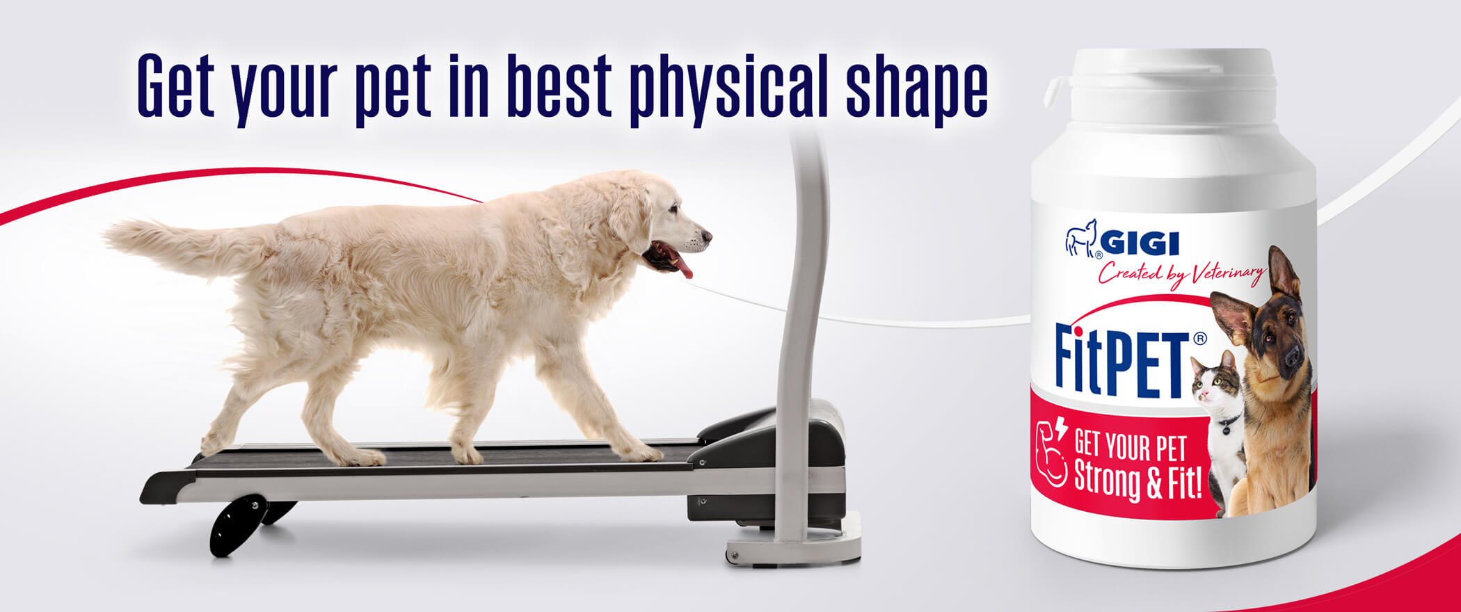 Get your pet in shape with gigi vet fitpet.