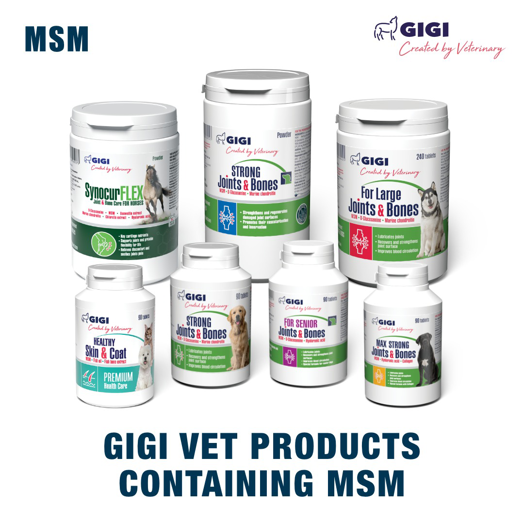 gigi vet products that contain MSM