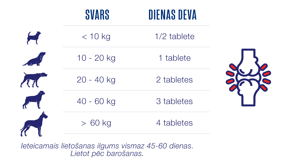 labākie vitamīni lieliem suņiem devas