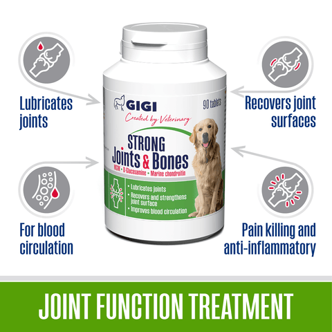 anti-inflammatory supplement for dogs