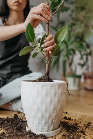 7 Eco friendly Gifts that Make a Real Difference - Treed Stories