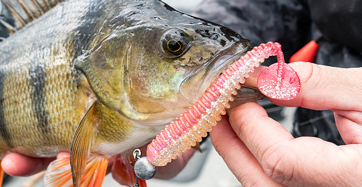 Powerbait Story – Berkley® EU