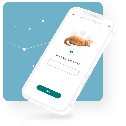 Phone with screenshot of Petivity app displaying first step of Set Up process, asking for the user's cat's name.