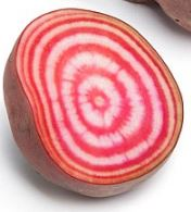 https://cdn.shopify.com/s/files/1/0518/0381/6098/files/fruit.png?v=1610697887
