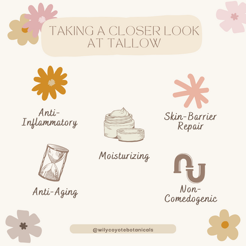 skincare benefits of tallow