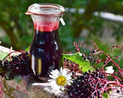 elderberry syrup medicine