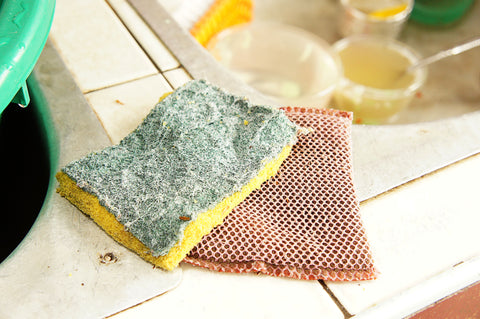 dirty sponge, how to clean a sponge