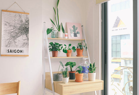 Add plants to create a calming and relaxing atmosphere