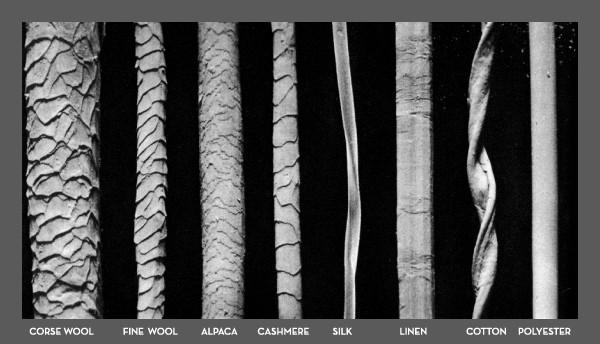 wool fibres under a microscope: left has more scales to right is less scales