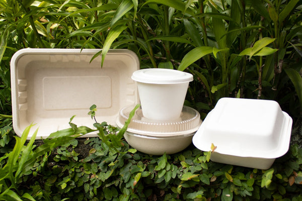 econtainer food packaging in foliage 
