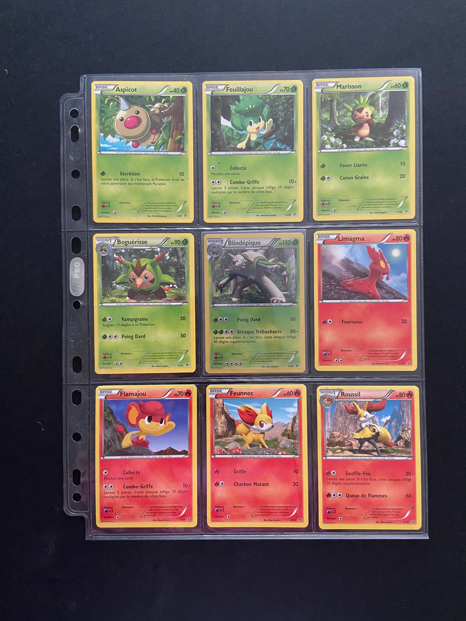 Full Set Xy Bienvenue A Kalos Fr Cards Hunter