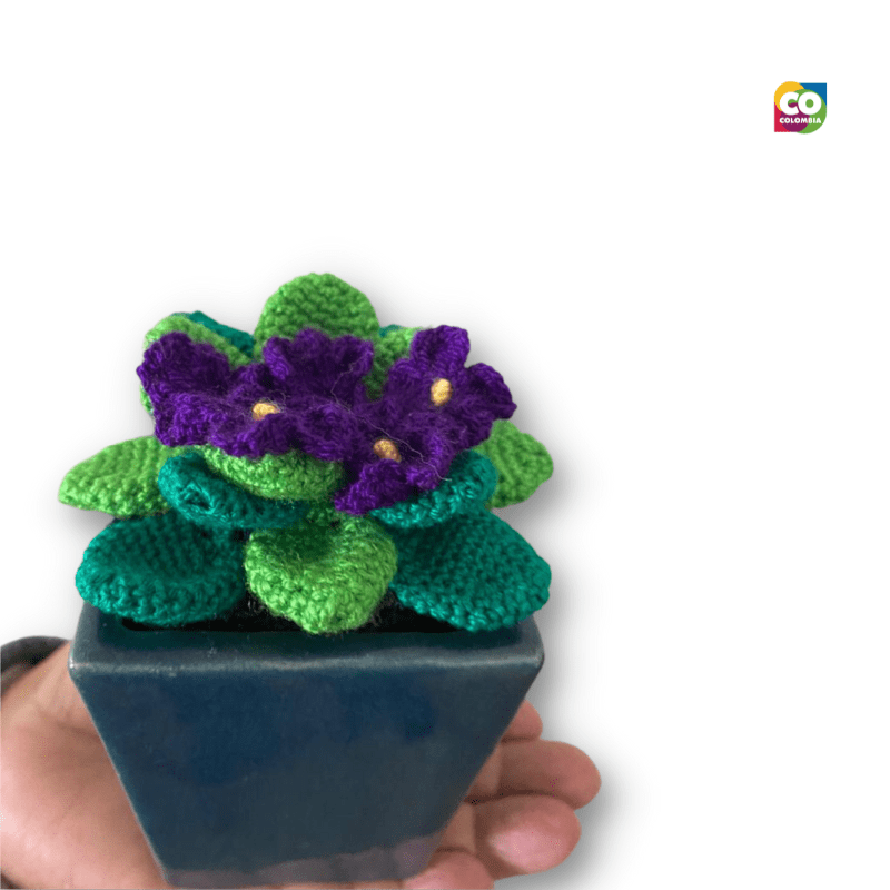 Violeta de los Alpes Pequeña en crochet - Decora la habitación de tus –  tienda101ideas