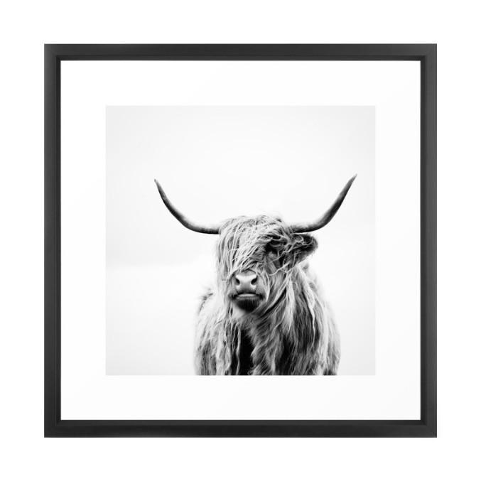 Highland Cow Wall Art | Shop Vanillawood