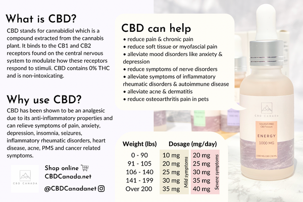 how much cbd should i take dosage 