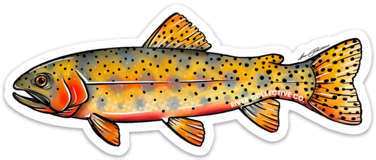 ABSTRACT BROWN TROUT DECAL – River Collective Co.