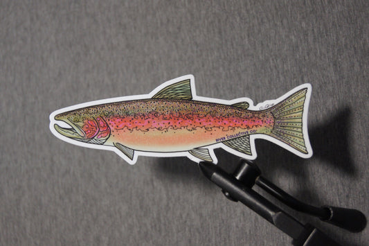 River Collective Trout Stickers – Wild Pines Shop