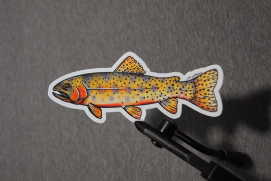 Rainbow Trout Sticker – River Collective Co.