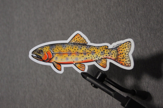 Rainbow Trout Fly Fishing 4x4 Chevy Silverado Truck Decals