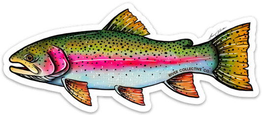 FUYOOHI Play Stickers Wild Brown Trout Sticker Boat Kayak Car