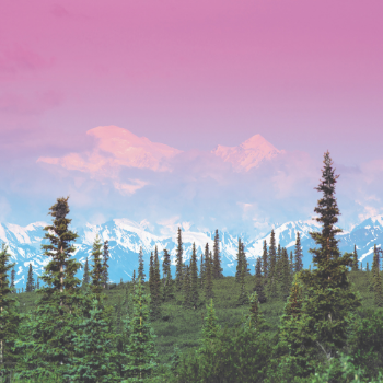 alaska cruise with denali train