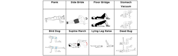 Basic Core Exercises - Plank, Side Bridge, Floor Bridge, Stomach Vacuum, Bird Dog, Supine March, Lying Leg Raise and Dead Bug