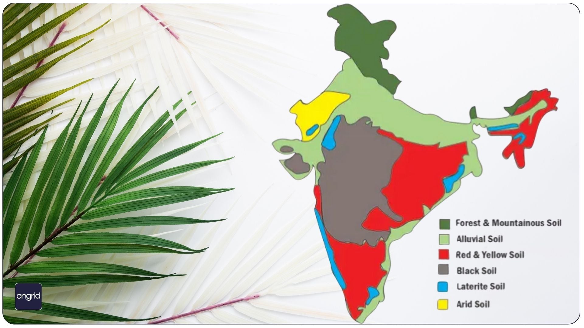 आव्हानात्मक मातीची परिस्थिती