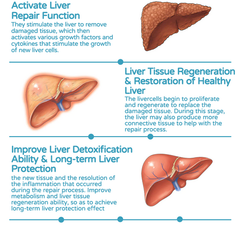 Liverpatcher™ powerful antioxidant liver detox cleansing patch