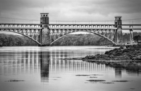 Britannia Tubular Bridge - Architecture and engineering medals