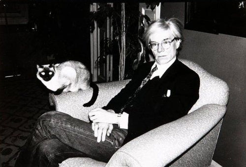 Cats n Scribbles: Andy Warhol and Hester the Cat