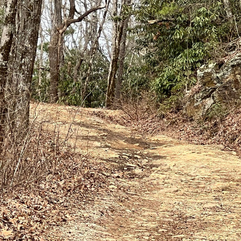 TRAY MOUNTAIN RD HELEN GEORGIA TERRAIN