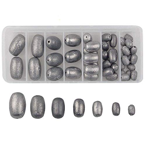  Shaddock Fishing 54pcs/Box Assorted Bell/Bass Casting Sinkers  Weights Kit Saltwater Fishing Weights-Total 13OZ in A Handy Box : Sports &  Outdoors