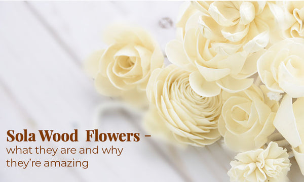 sola flower for home decor 