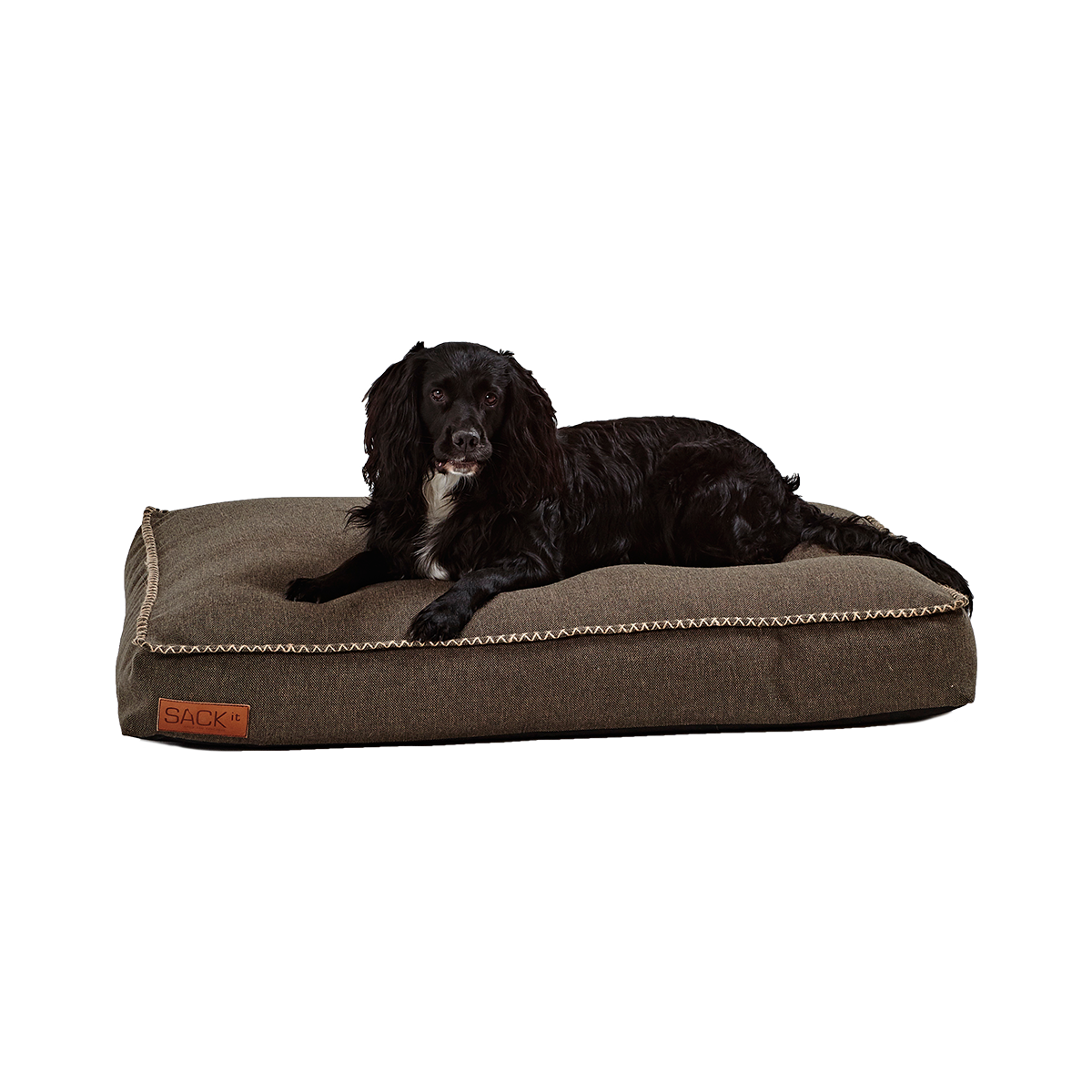 Dog bed