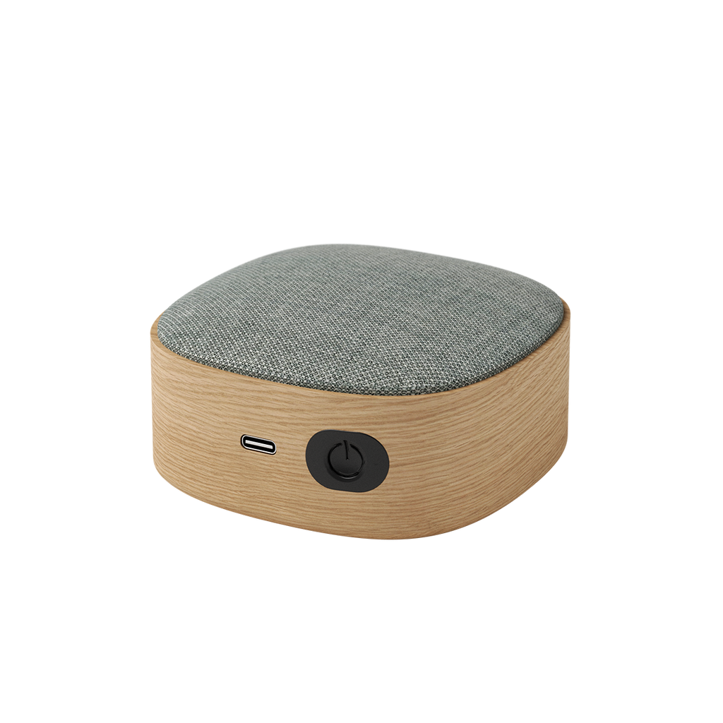 Anoniem Slank In beweging Go Wood - Oplaadbare Bluetooth speaker van hout | SACKit