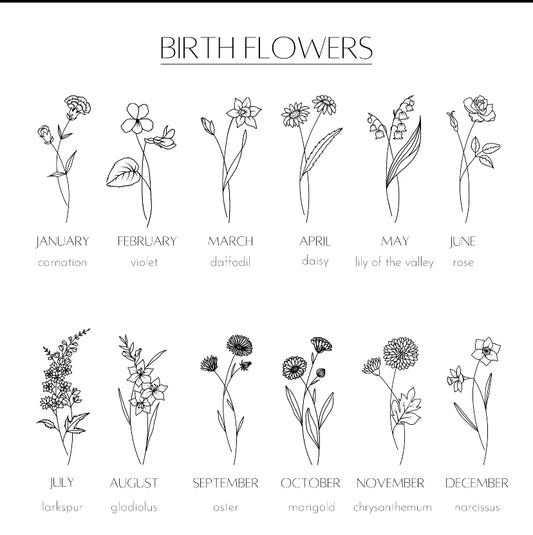 december birth flower clip art