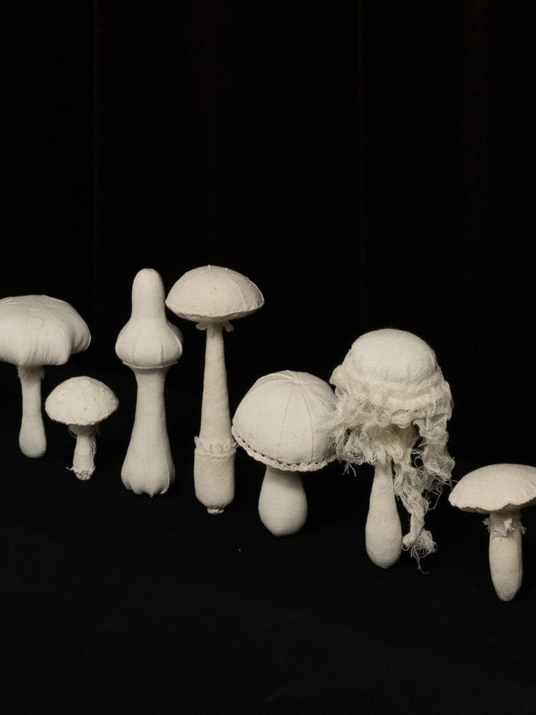 Assorted Fungi 1-9 by Wenjue Lu & Chufeng Fang2