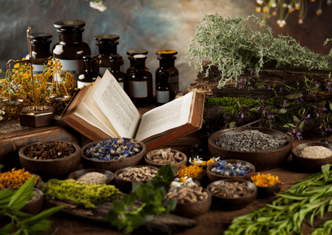 Blog,about,herbal,medicine,article,herbs,herb,seed