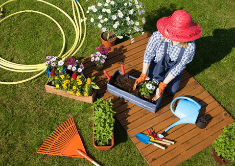 3 Reasons to Start Gardening at Home - Garden Seeds Blog