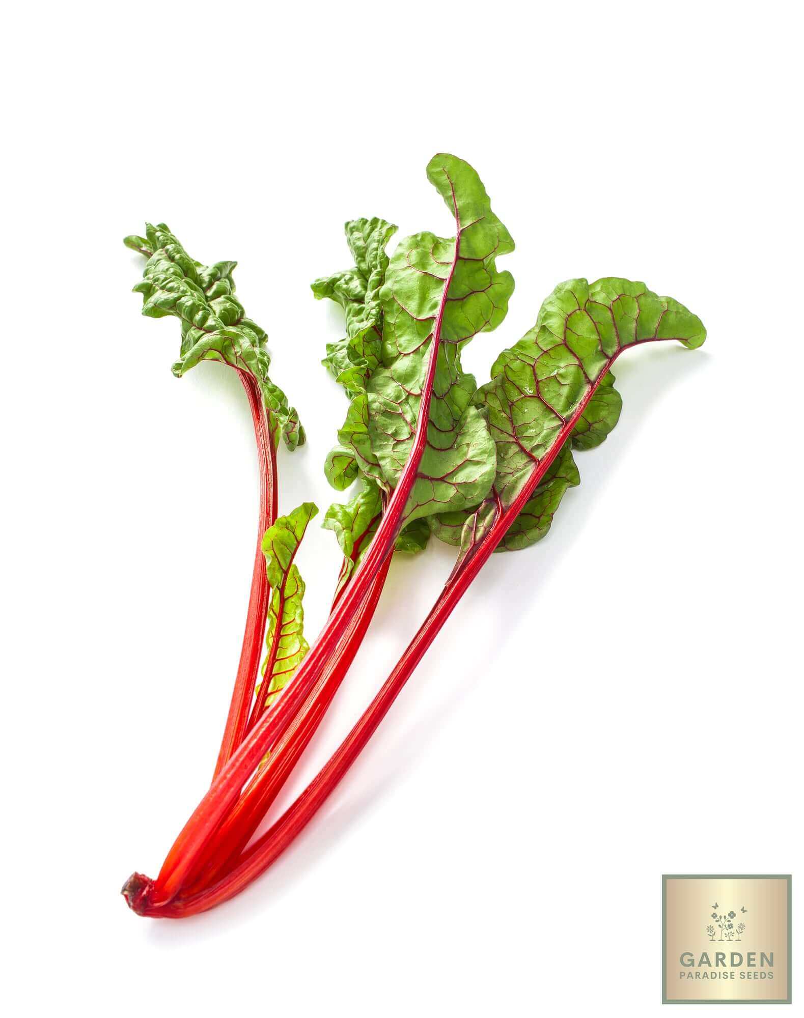 Seeds Shop | Buy Red Swiss Chard Seeds - Plant & Growing Guide – Garden ...