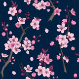 Sakura Patterns
