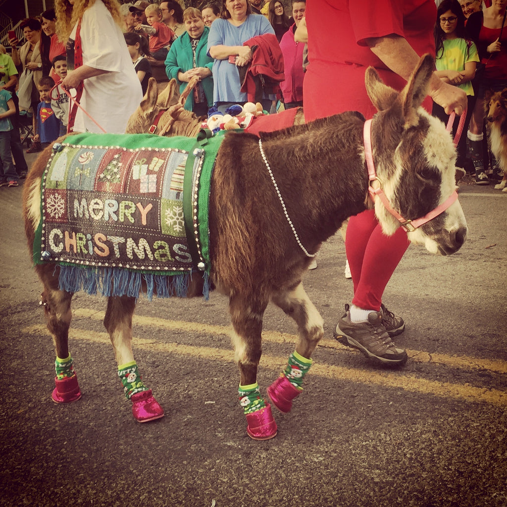 Leipers Fork Christmas Parade