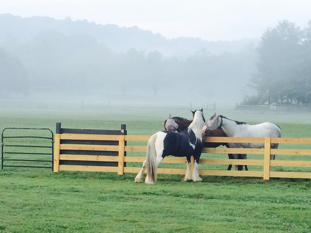 Horse Property Leipers Fork