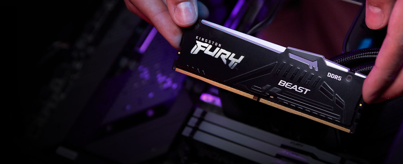 Kingston FURY Beast RGB White DDR5 RAM Review - Potential Unleashed