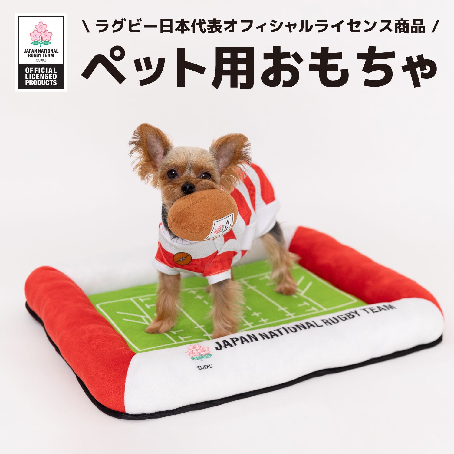 ラグビー日本代表 ボールトイ  犬のおもちゃ - ラグビー日本代表公式ライセンス ペット商品