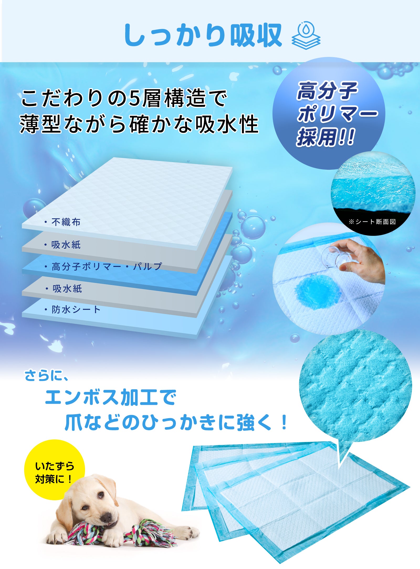 コスパがいいペットシーツ 薄型 レギュラー 800枚・ワイド400 枚・スーパーワイド 200枚 / 大容量 まとめ買い 業務用ケース ペット用 犬  トイレシート 1回使い捨て いぬ 猫 ねこ システムトイレ