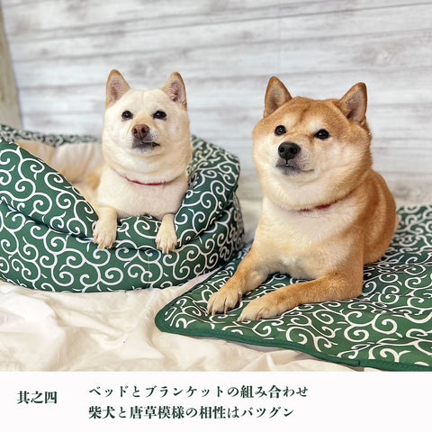 柴犬専門ブランド mamemochi から〜唐草まみれシリーズ〜 沼る唐草