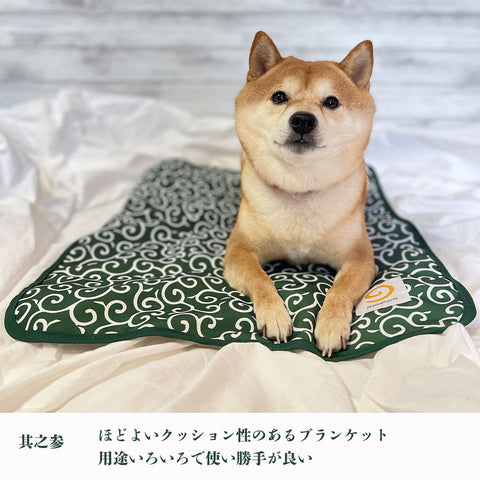 柴犬専門ブランド mamemochi から〜唐草まみれシリーズ〜 沼る唐草