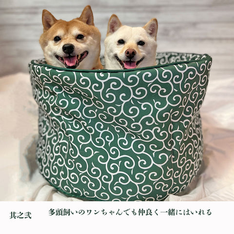 柴犬専門ブランド mamemochi から〜唐草まみれシリーズ〜 沼る