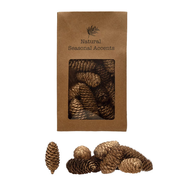 Dried Belani & Amra Egg Shaped Pods in Bag